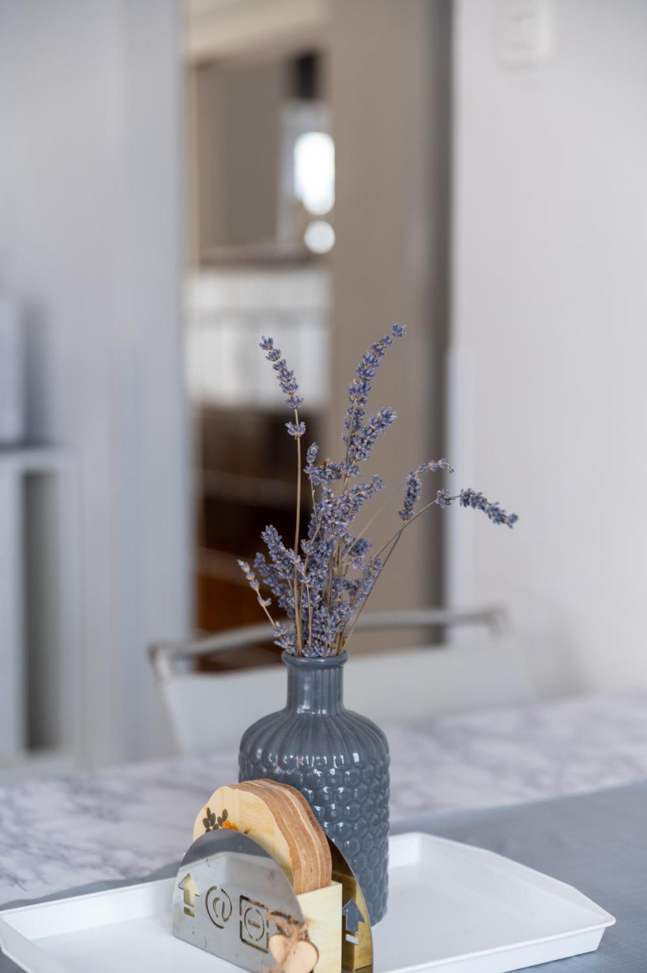 פאז'אנה Apartman Milijana מראה חיצוני תמונה