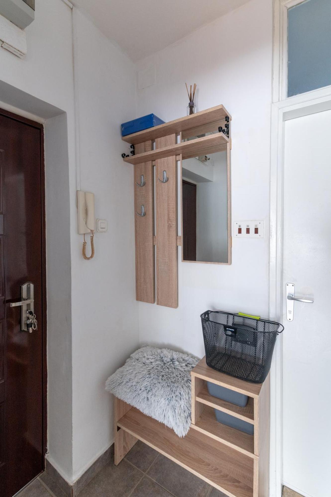 פאז'אנה Apartman Milijana מראה חיצוני תמונה